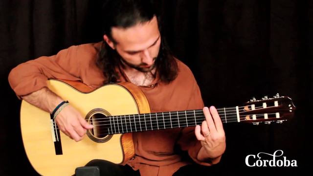 Cordoba Guitars - Fusion 12 Maple