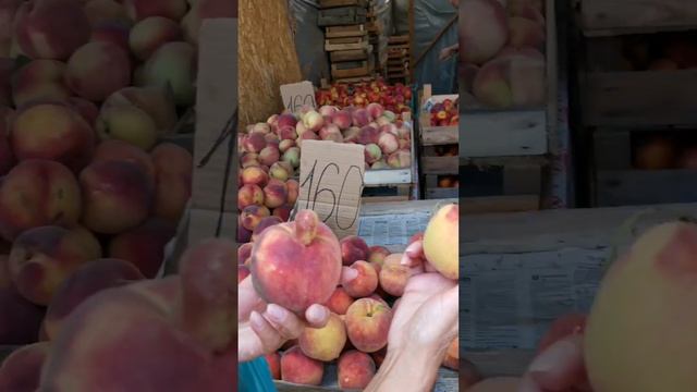 Анапа 23 августа Восточный рынок Цены ? смотреть онлайн