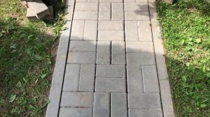 Садовая дорожка. Не засыпали швы между плиткой
