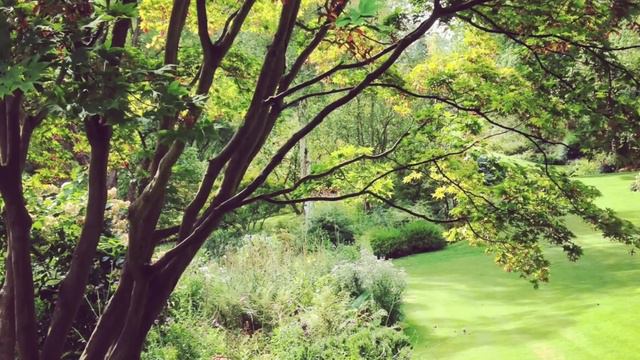 Garden privacy - how to make your garden feel more private смотреть онлайн