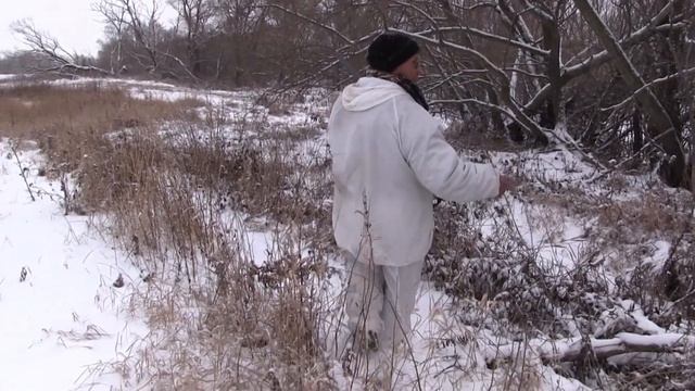 Охота на зайцев и лисиц с гончей собакой смотреть онлайн