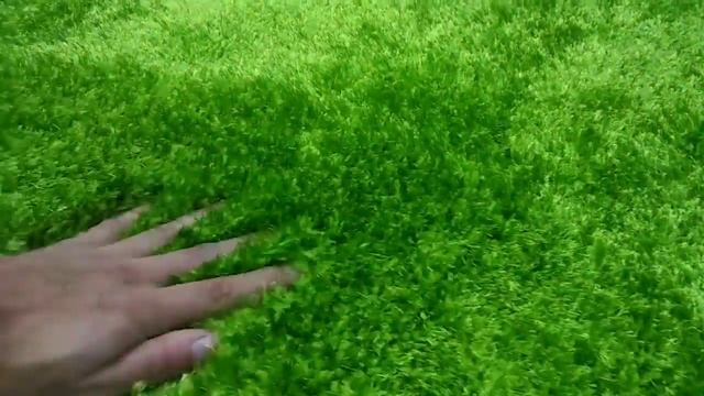 Зеленый ковер смотреть онлайн