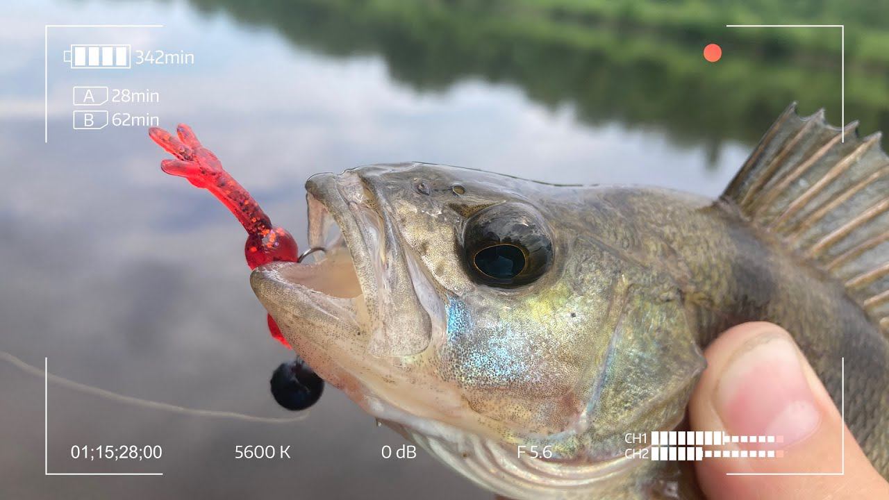 Eleven Lures Chikki 1.5. Будущая Легенда в мире Микроджига. смотреть онлайн