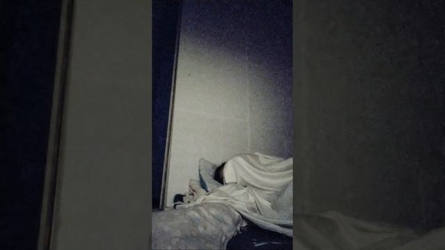 tara guyz live na tau miss kona kau? смотреть онлайн