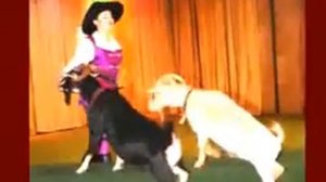 Какие бывают театры Путешествие в театр  Часть 2