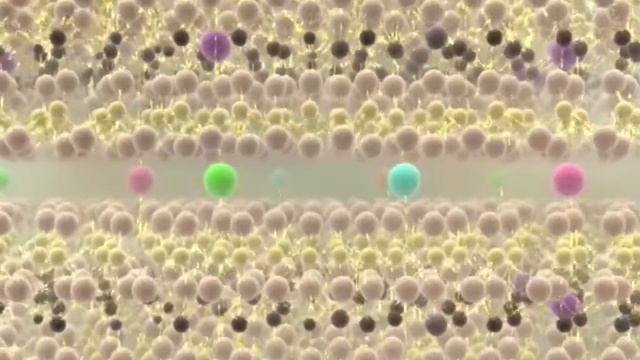 УЛЬВАНС -- ВАЛОРИЗАЦИЯ ВОДОРОСЛЕЙ (зеленые водоросли) смотреть онлайн