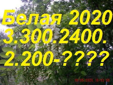 Взять мёд белой акации-Высший пилотаж в пчеловодстве-.Ждём милости от природы. смотреть онлайн