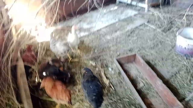 все идет через одно место ...