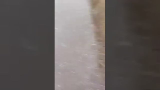 ВЛОГ / Ливень / Оленёнок Ди смотреть онлайн