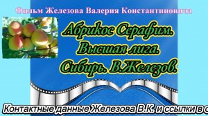 Абрикос Серафим. Высшая лига. Сибирь. В.Железов.