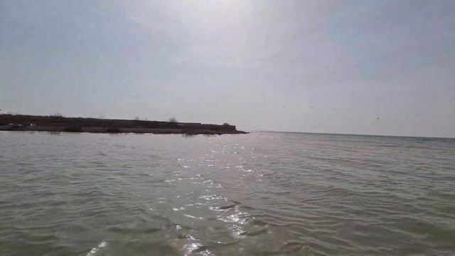 Рыбалка Шардара 19.03.2021 г смотреть онлайн