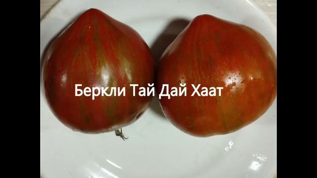 Обновленный каталог томатов 2023 г. Часть 2. г. Киров. смотреть онлайн