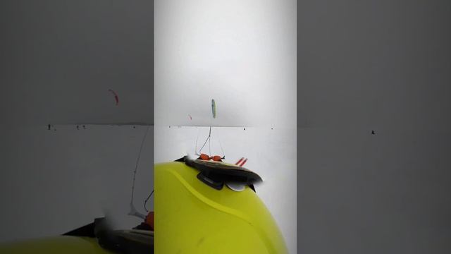 Жигулевское море. г.Тольятти .Чемпионат России по сноукайтингу в дисциплине марафон. смотреть онлайн