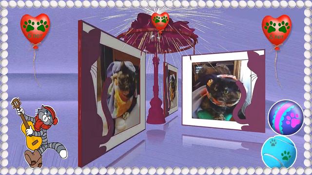 День рождения Муси 04 03 2023 6 лет смотреть онлайн