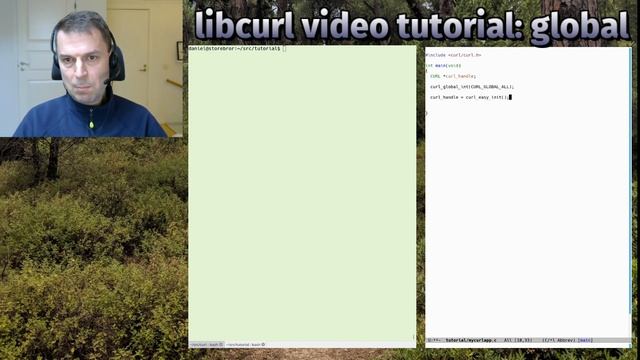libcurl video tutorial: global смотреть онлайн
