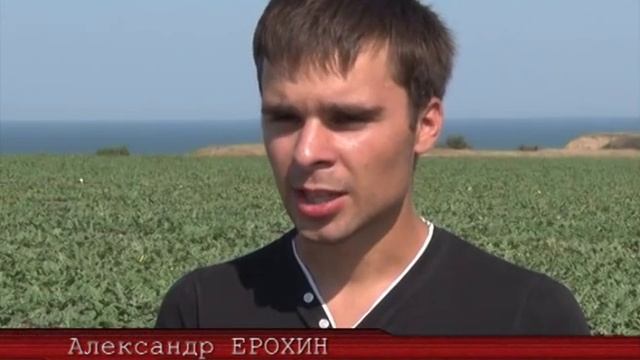 Самый лучший таманский арбуз смотреть онлайн