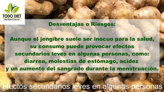 JENGIBRE смотреть онлайн