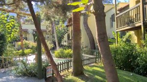 GYPSOPHILA club marine 2022