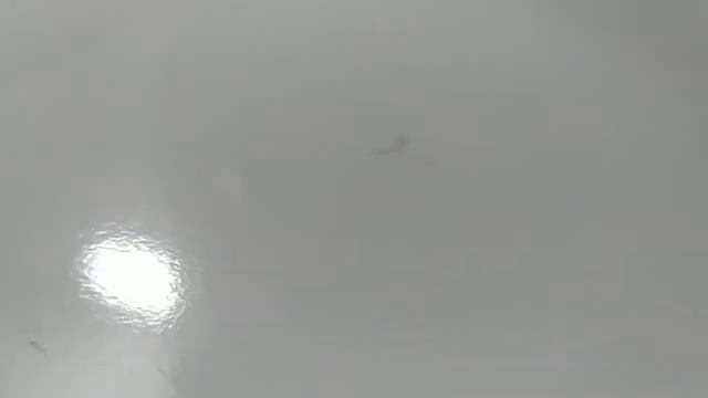 Строительные Отчеты