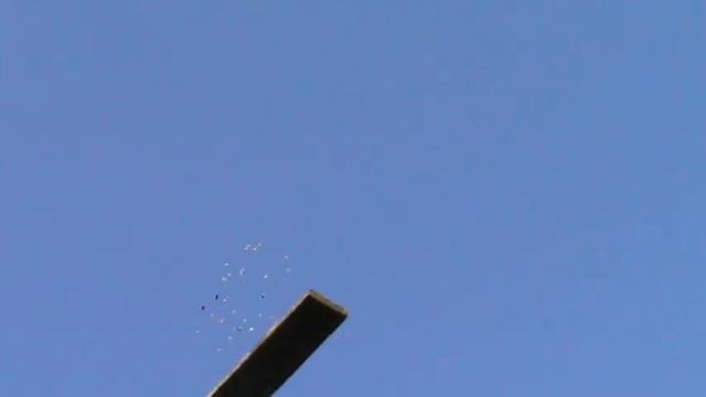 Пермские и свердловские голуби.ч 1. смотреть онлайн