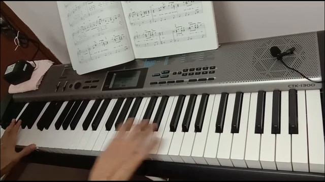 We're All Alone Boz Scaggs's piano cover Casio CTK1300 смотреть онлайн