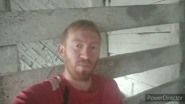ТЕПЕРЬ ВСЁ СТАЛО ПОНЯТНО. ВИНОВАТЫ ОНИ... смотреть онлайн