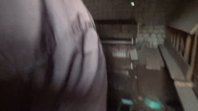 Обработка кур и курятника от пухопероеда, клеща и других паразитов. смотреть онлайн