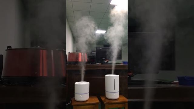 FSAH-0003 & FSAH-0002 2L & 5L Humidifier mist function test смотреть онлайн