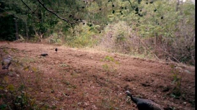 Git outta my patch crows смотреть онлайн