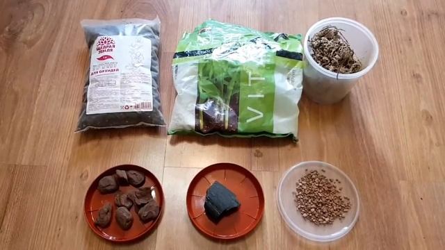 Цимбидиум. Посадка. смотреть онлайн