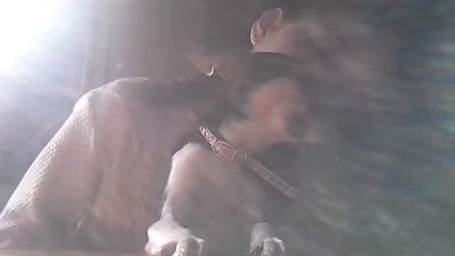 Реакция учителей и учеников на мой проколотый нос в 1 классе смотреть онлайн