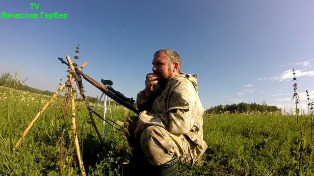 охота на серого сурка или байбак смотреть онлайн