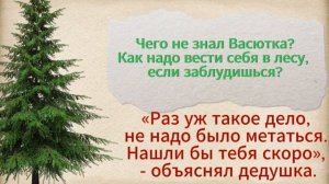 тема «Человек и природа в рассказе В.П. Астафьева «Васюткино озеро», учитель Афанасова Н.В.
