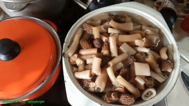 Ретрофильмы и Классика