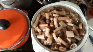 СМОРЧКИ - КАК ПРИГОТОВИТЬ . ВЕСЕННЯЯ НОЧНАЯ "ГРИБАЛКА".