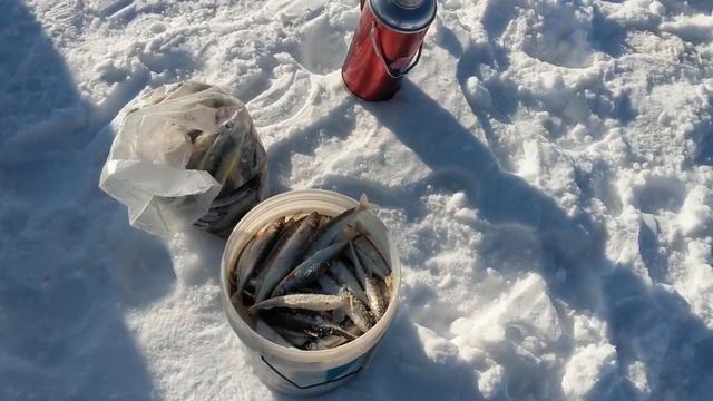 Зимняя рыбалка в Айхама (相浜) / Советское смотреть онлайн