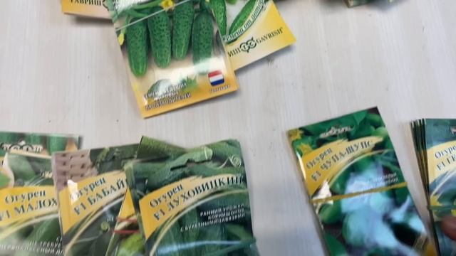 ОГУРЦЫ СЕМЕНА 2024 СЕЗОН смотреть онлайн