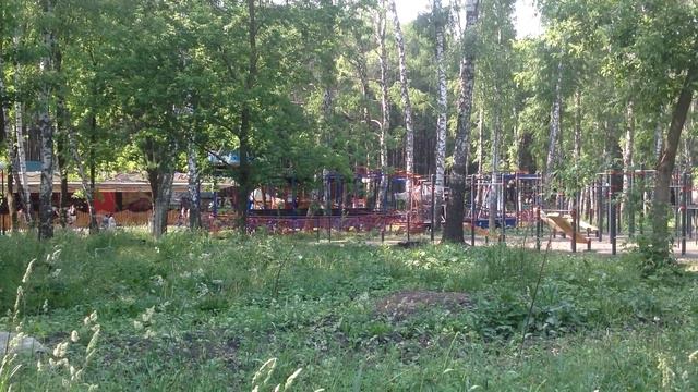 Новомосковск Тульской детский парк 08.06.2014 год смотреть онлайн