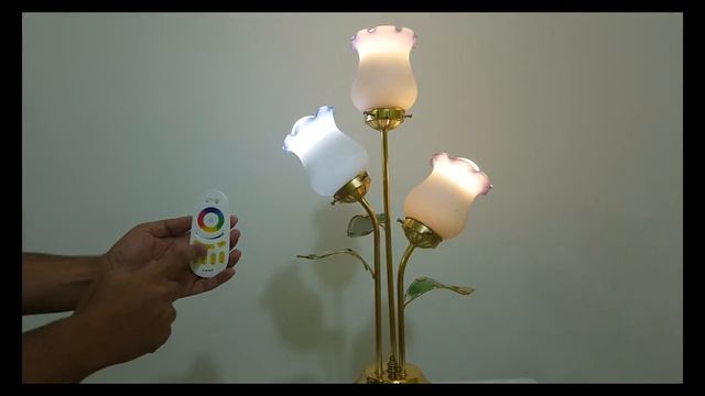 RGBWW & RGBCW Lights смотреть онлайн