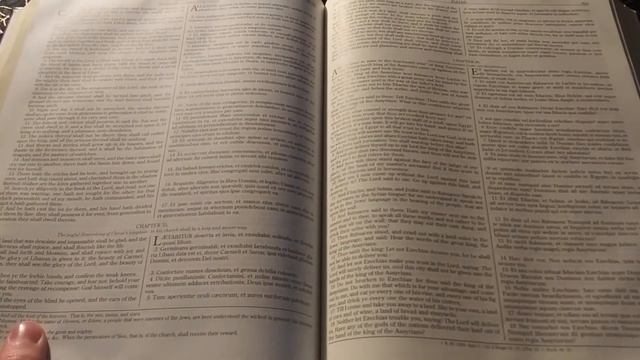 Clementina Vulgata / Douay-Rheims Catholic Bible