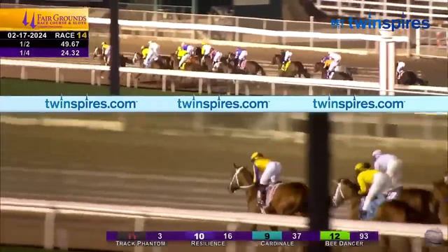 'Sierra Leone' - новый претендент на Kentucky Derby 2024