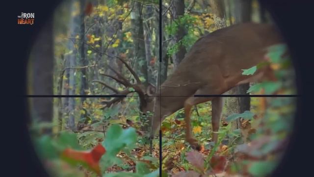 Priam announces to public that he is still alive | The Iron Heart Recap смотреть онлайн