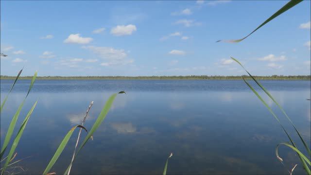 оз.Ербаш,сев.район,Новосибирская область. 29 авг.2024 г. 14ч00-15ч00мм