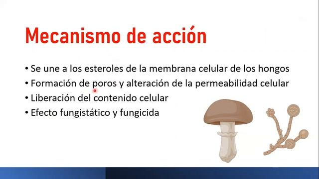 ? NISTATINA | PARA QUÉ SIRVE, EFECTOS SECUNDARIOS, MECANISMO DE ACCIÓN Y CONTRAINDICACIONES смотреть онлайн
