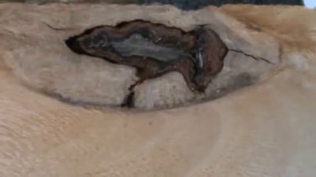 Как подсадить матку 1