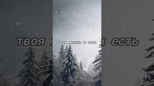 YouCut_20231203_152650440.mp4