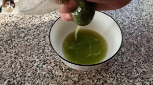 Замачивание семян в соке Алоэ перед посадкой