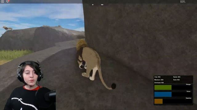 ROBLOX WILD SAVANNAH TESTING A MALE LION OUTCAST from the Lion's Pride! No Alpha King, No Food! смотреть онлайн