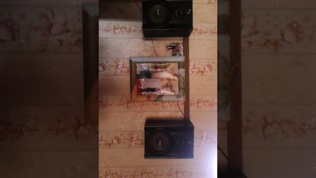 Buzovna dj elisqa смотреть онлайн