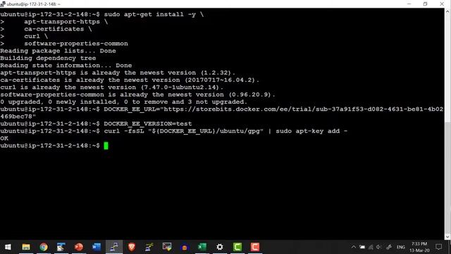 Docker Enterprise Prepare AWS AMI with Docker Enterprise Engine - Video 61 смотреть онлайн